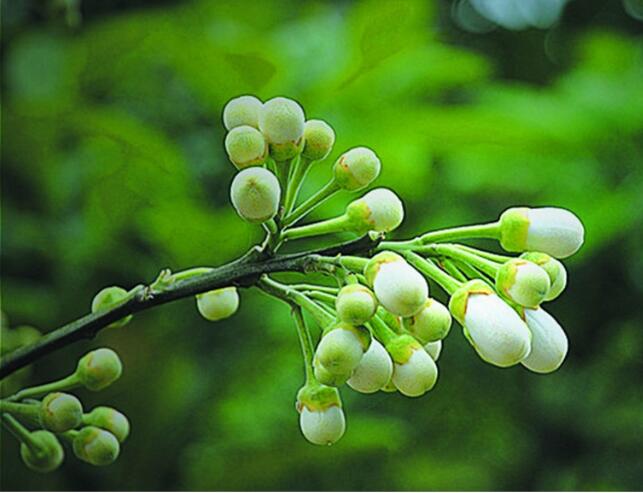 养生的地方不养生,养生的地方怎么找