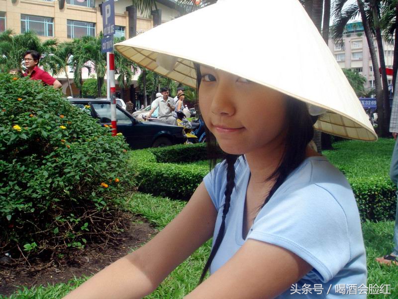 越南要进口中国什么东西,越南需要进口中国的什么