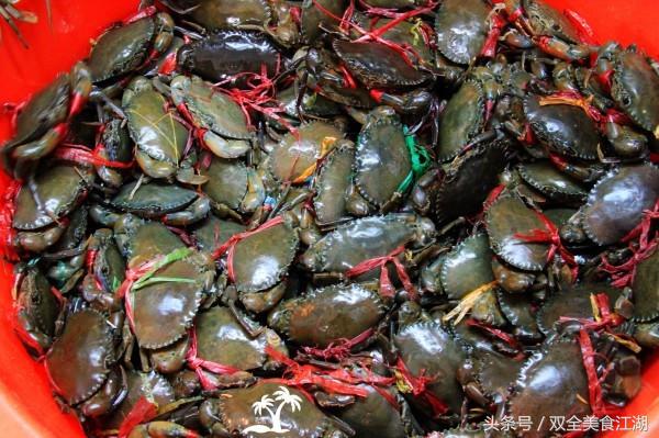 三亚亚龙湾最佳攻略,三亚亚龙湾免费海滩怎么去