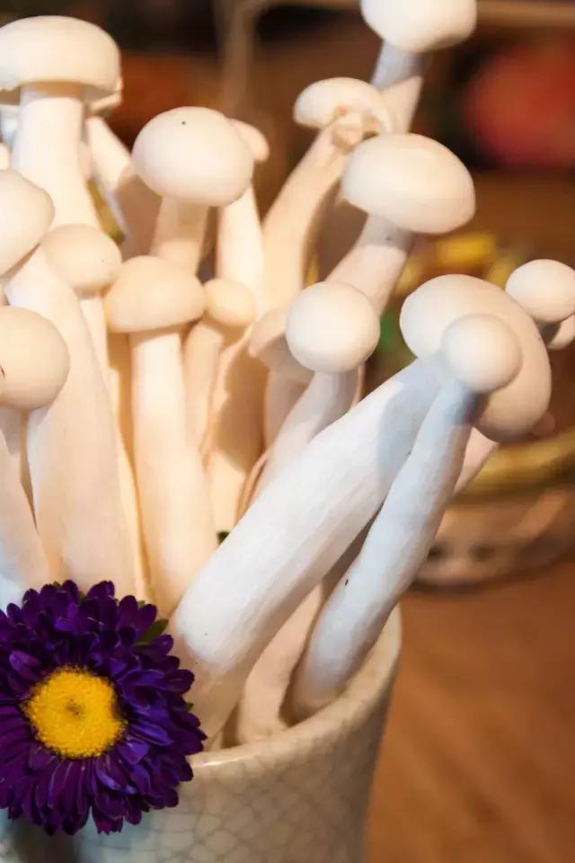 郑州中高端山珍餐厅,人均超高奢侈餐厅