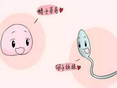 受孕的正确方法和注意事项,原来备孕这么难