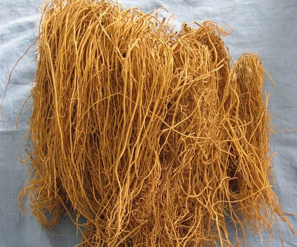 解表药之麻黄——用药经验分享:发汗平喘宜麻黄,利尿消肿功效强;外感风寒身无汗,痹痛咳喘水肿良