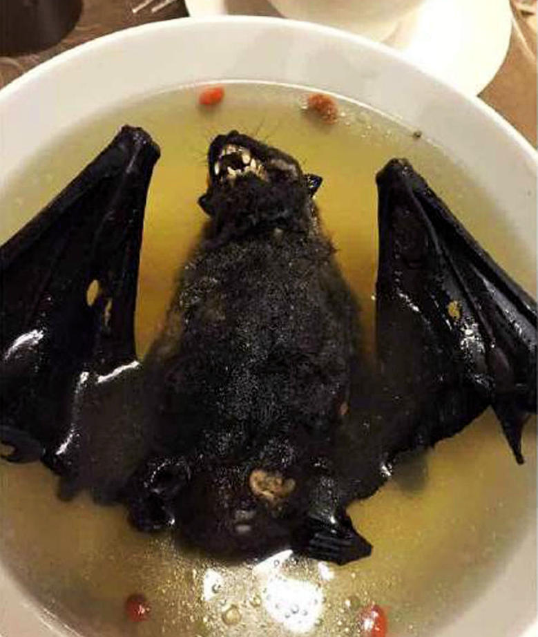 帕劳有什么玩的,帕劳出行攻略