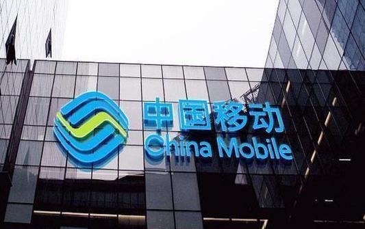 移动超大流量年包,中国移动感恩回馈流量卡9元100g