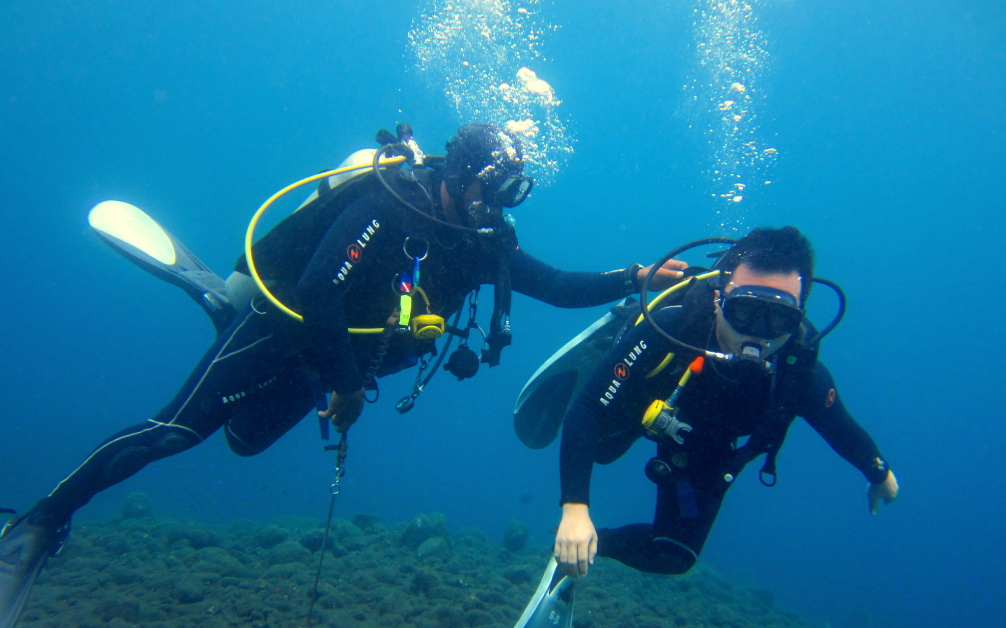 帕劳有什么玩的,帕劳出行攻略