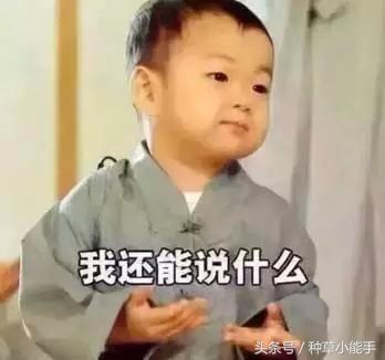 娜扎白到发光,想像古力娜扎一样白得发光