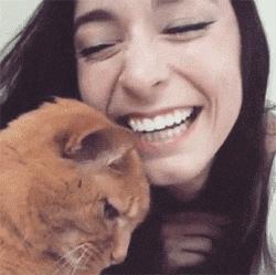 成都流浪猫割双眼皮后的图片,给流浪猫割双眼皮