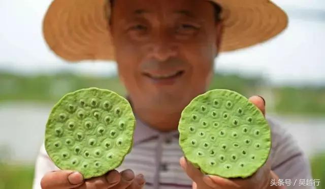 补水效果超级好的清爽水,超舒服的补水方法