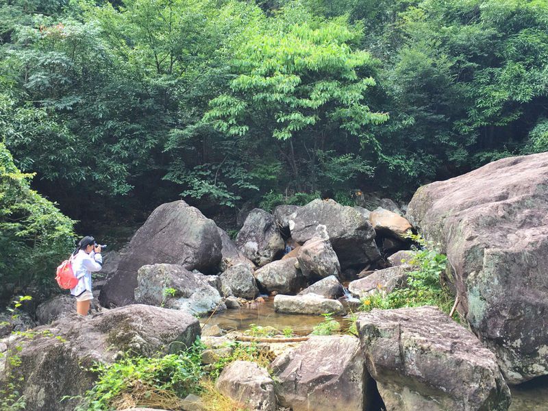 一场说走就走暑假旅行,一场说走就走的旅行来了