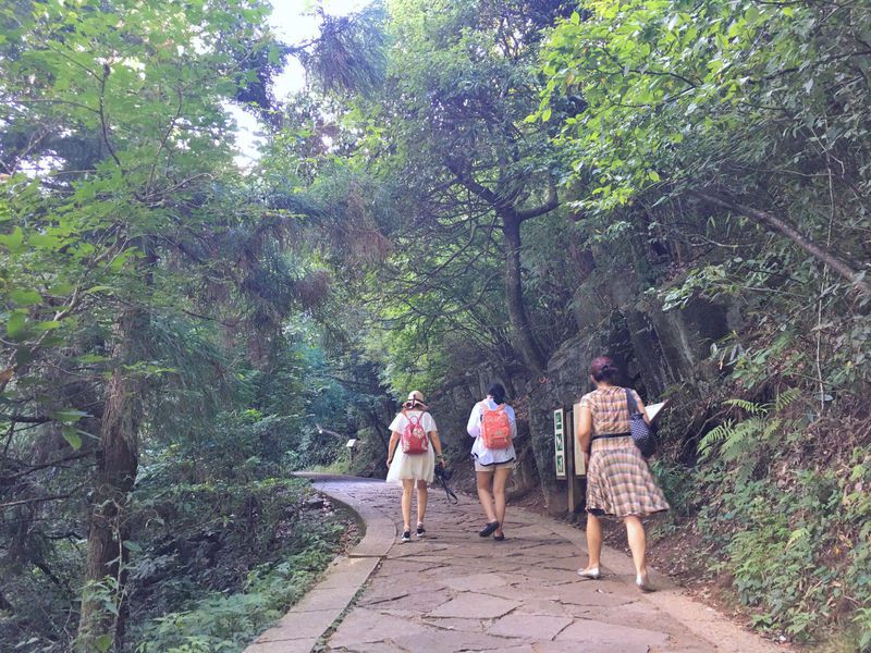 一场说走就走暑假旅行,一场说走就走的旅行来了