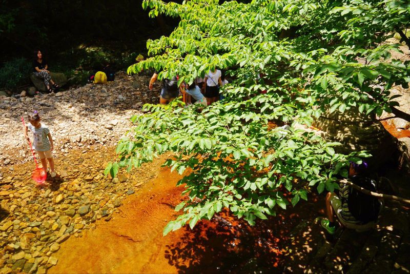 一场说走就走暑假旅行,一场说走就走的旅行来了