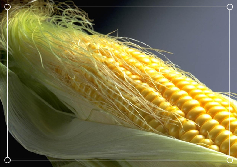 50种常见药材功效之最,中药的常用药材和功效大全