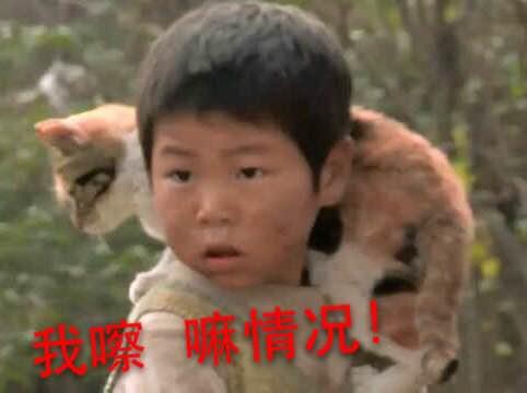 变形计如今的四爷现在怎么样了,变形计四爷主人公