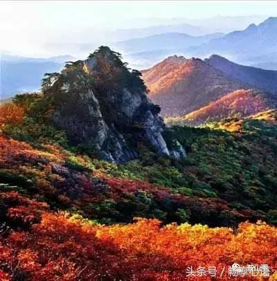 对不起,我要去鞍山了,别再找我了!