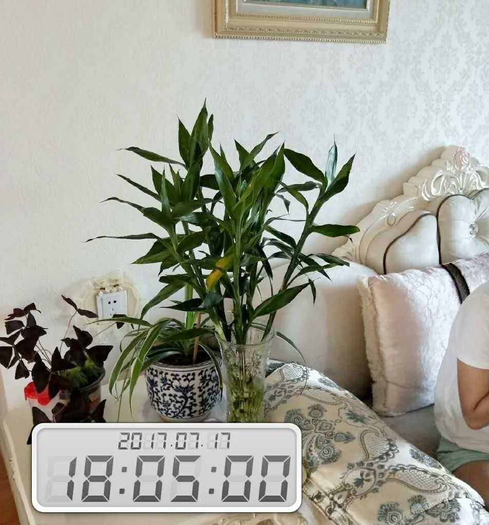 信阳台北城上城138平二手房,信阳市台北城上城产权年限