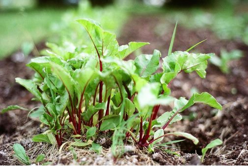 有文字的背景图正能量,正能量意境文字图片