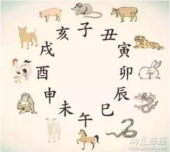 生肖相合宜忌,命理相合相冲相害相刑是什么意思