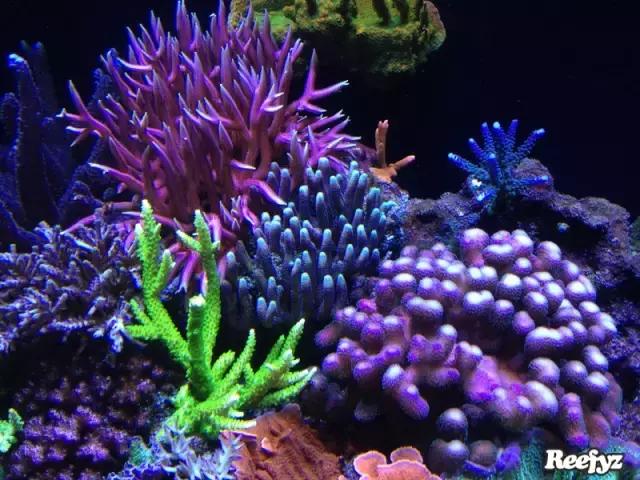 天啊，又是火灾又是炸缸，这可能是最倒霉的鱼友了！