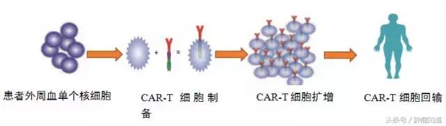 120万cart-t疗法利弊分析,一文读懂cart细胞免疫疗法