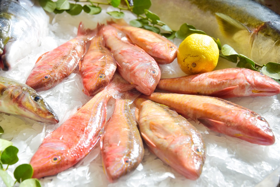 南大洋的深海,南大洋海域