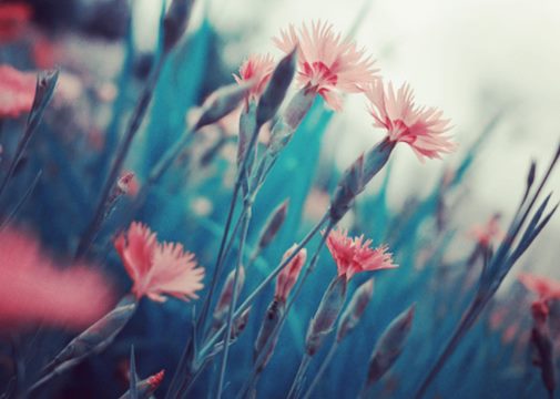 有文字的背景图正能量,正能量意境文字图片