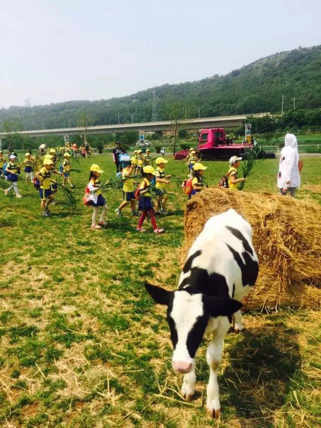 大连铭湖牧场度假区,大连铭湖牧场和三寰牧场哪个好