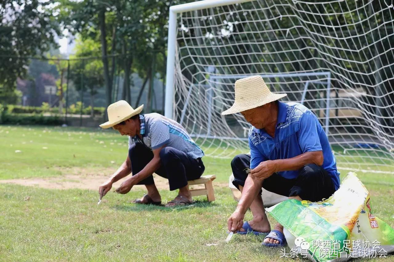 陕西足球背后人物系列丨丈八训练基地绿茵美容师，高温下坚守一线保障场地