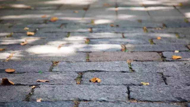 高温下的上海城市,上海40度以上高温