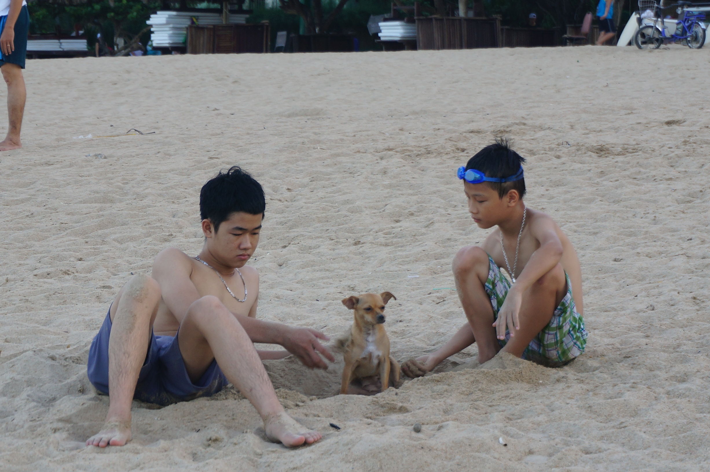 我的越南旅行记,我的芽庄之行全集