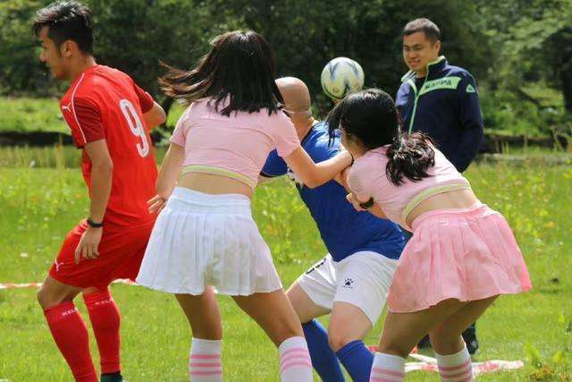 四姑娘山高山草甸,四姑娘山雪山草甸