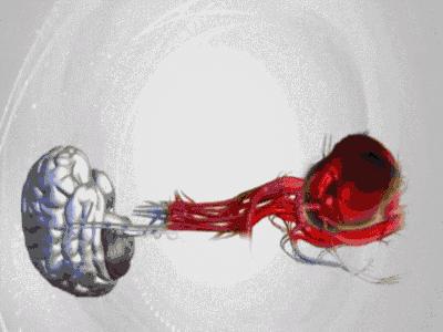 心梗突然晕倒怎么急救,梗住了是什么意思