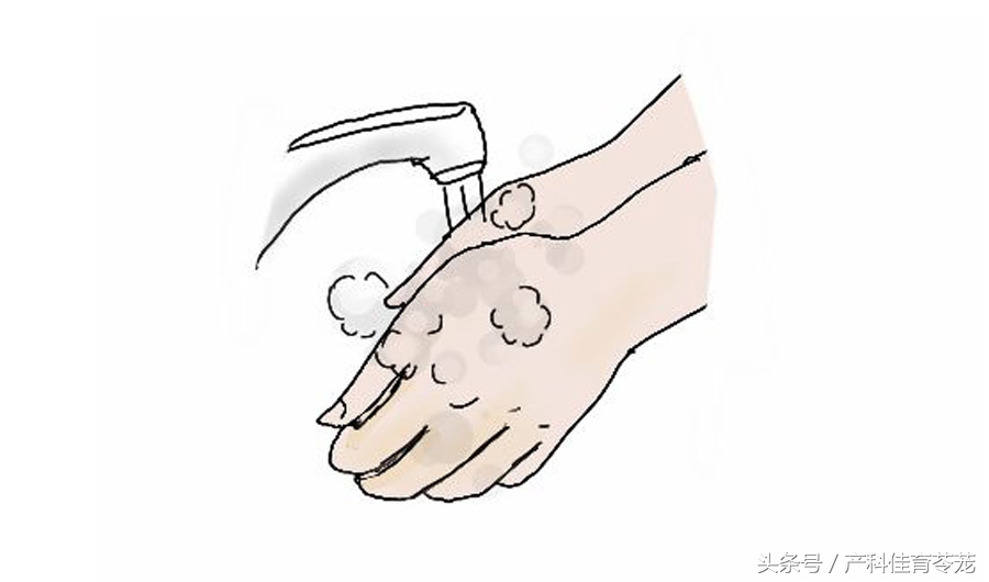 怀孕后可以养宠物吗,为什么怀孕不能养宠物