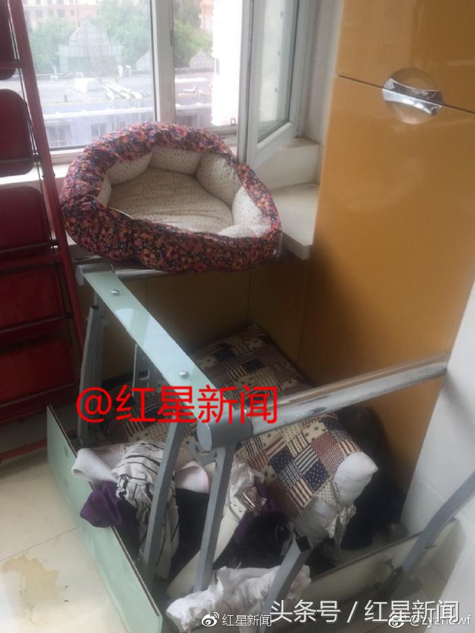 婚房出租4个月变垃圾场房东追逃 (女子出租婚房两年后变成垃圾场)