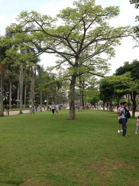 遇见厦门漳州六鳌——心中的那片海