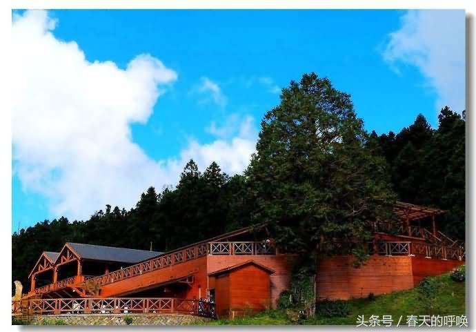 台湾阿里山仙境美如画,台湾省阿里山风景