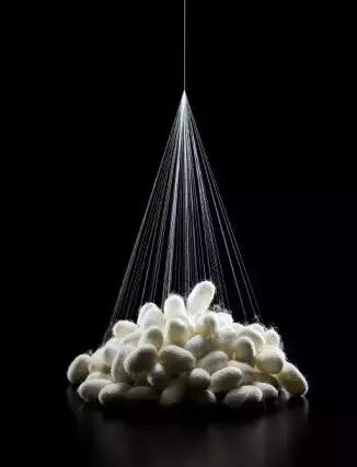 桑蚕丝衣服怎么变白,桑蚕丝衣服怎么穿不皱