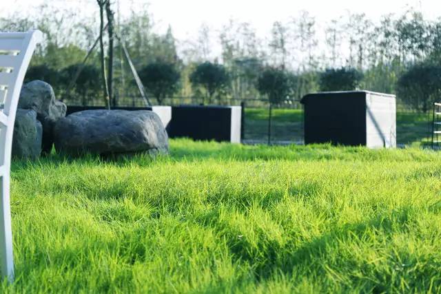 宜兴周边避暑地方,宜兴开车避暑攻略