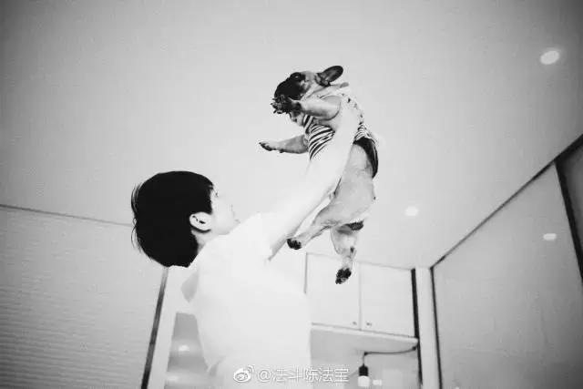 36㎡打造乐活居,你什么样,生活就什么样!