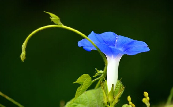 有个性的早安说说句句简短走心,早安语录励志点赞高的说说带图片