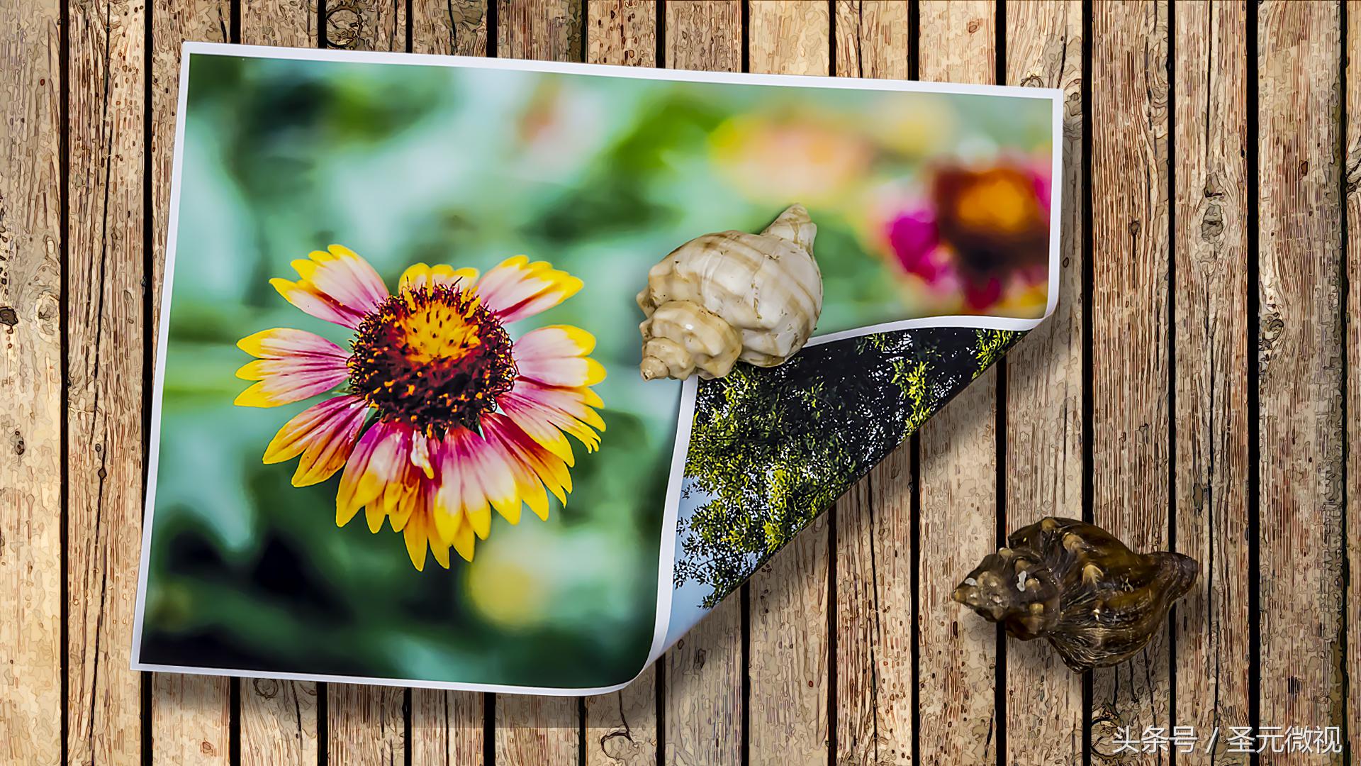 使用双面打印,使用双面打印节约纸张