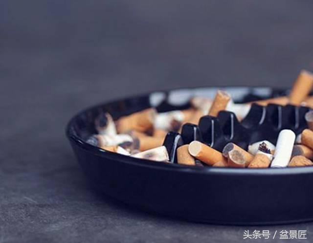 夏天招蚊子的绿植,绿植除虫小妙招