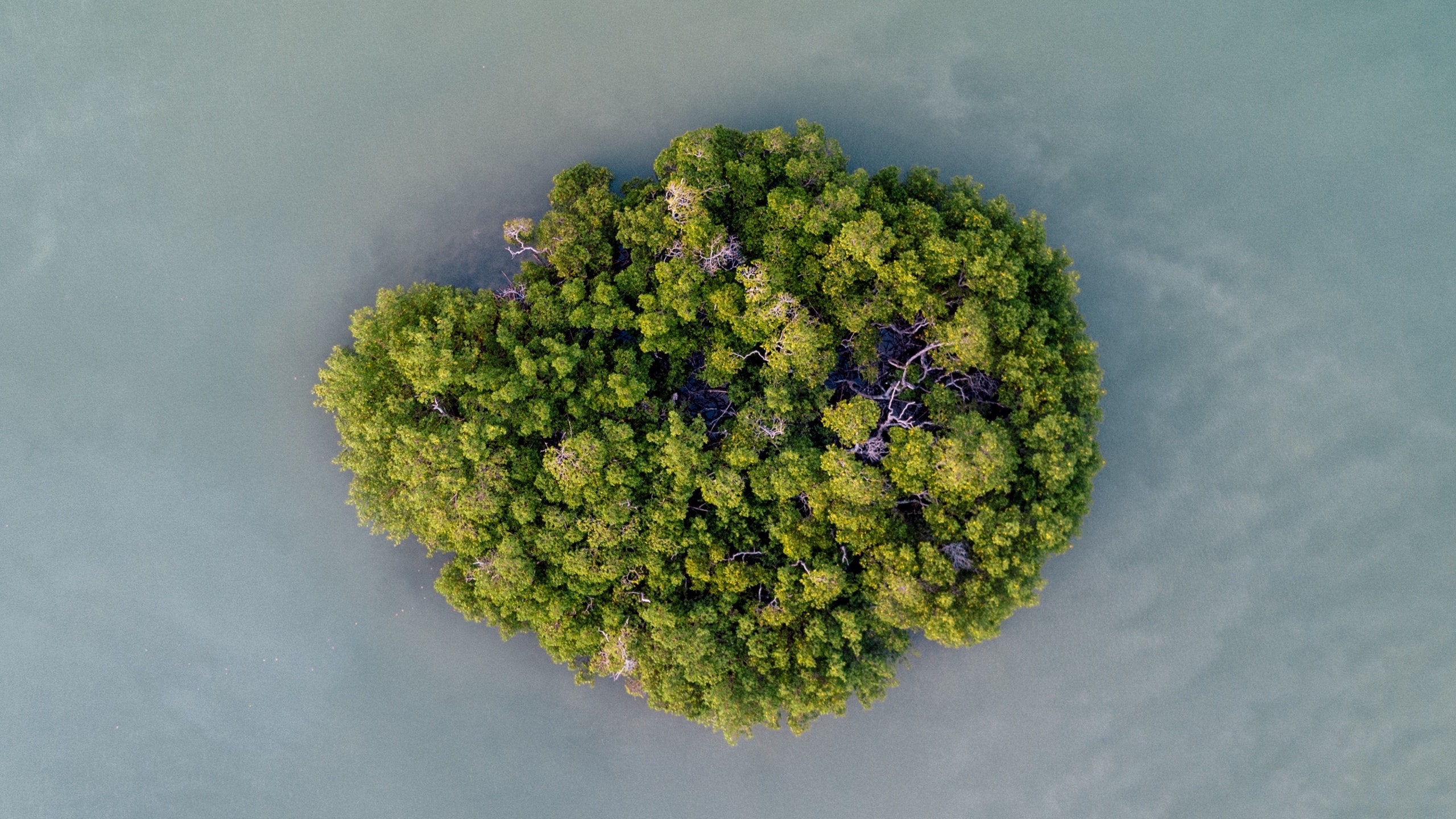 当笔记本*党**一直以为mac就是机制的时候，一定是忽略了显示器还有这样一种打开方式，外挂显示器的完整体验