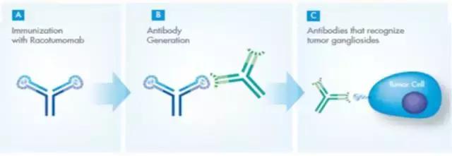 非小细胞肺癌疫苗,小细胞肺癌疫苗直播