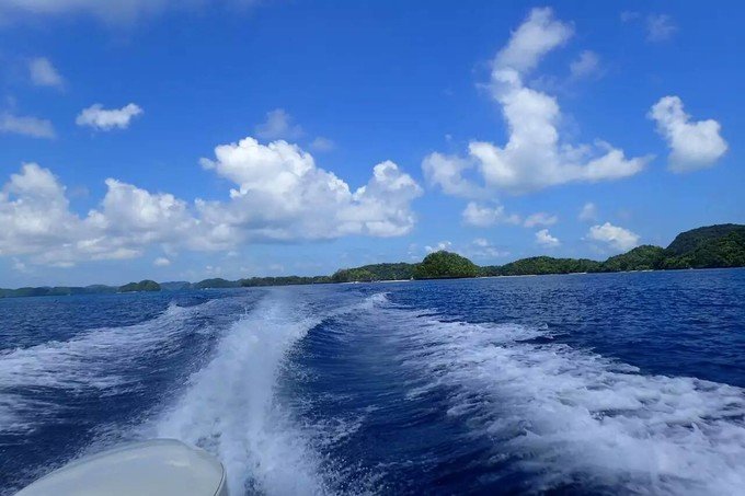 看鲨鱼，玩泥巴，看男人穿婚纱，带你看不一样的帕劳