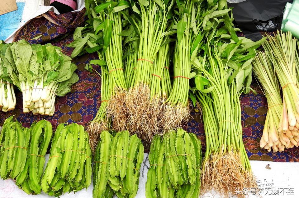 仙本那人间仙境的秘密,仙本那不为人知的一面