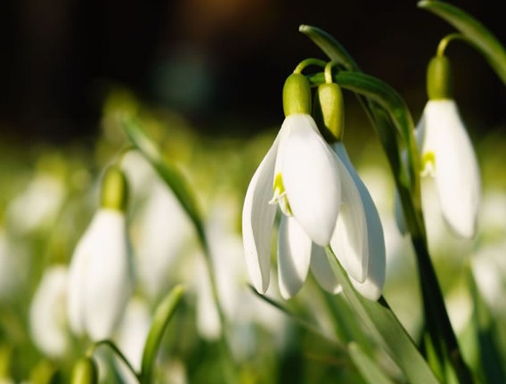 有个性的早安说说句句简短走心,早安语录励志点赞高的说说带图片