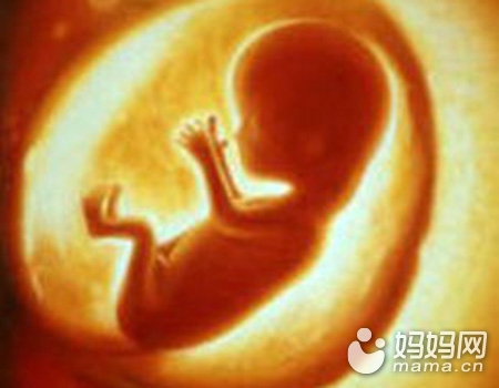 胎停育是优胜劣汰法则,胎停育真是优胜劣汰吗