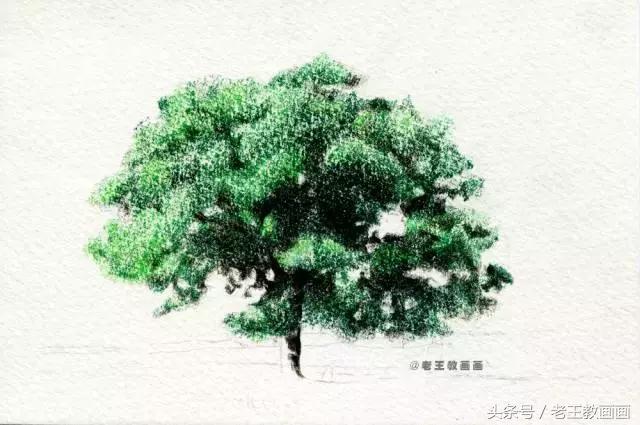 零基础学用彩铅画风景,彩铅画教程入门零基础风景