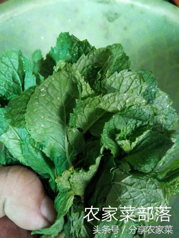 泡椒鱼最简单的做法,怎样做重庆味的泡椒鱼