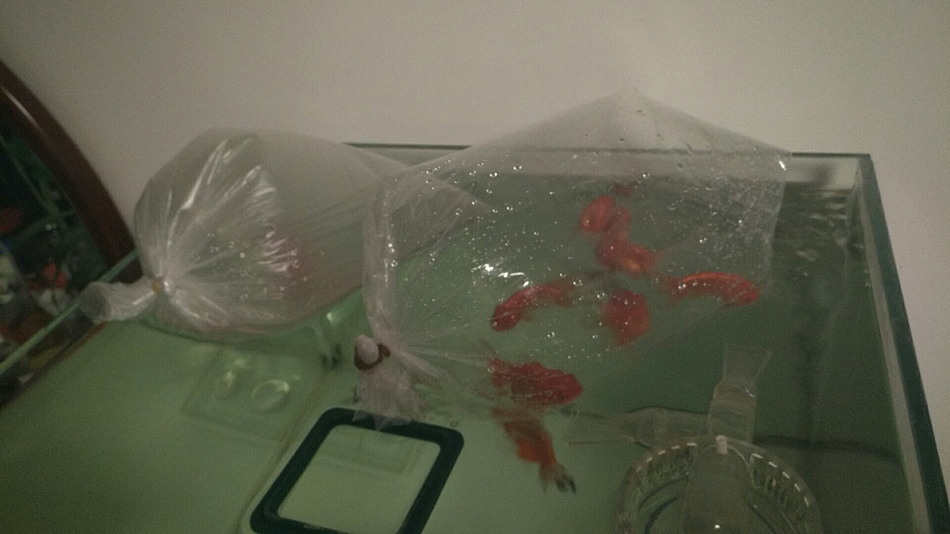 鱼缸diy用什么石头,鱼缸diy制作30元